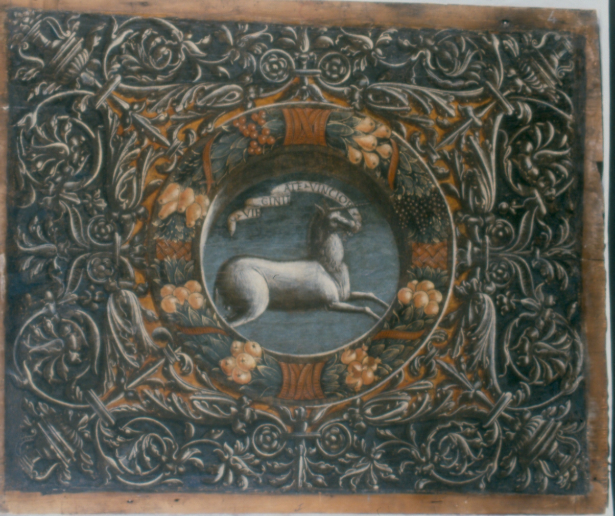 animali fantastici e motivi decorativi fitomorfi (decorazione pittorica, elemento d'insieme) di Falconetto Giovanni Maria (attribuito) (inizio sec. XVI)