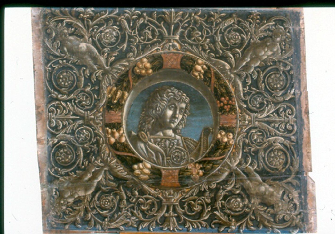 busto ritratto d'uomo (decorazione pittorica, elemento d'insieme) di Falconetto Giovanni Maria (attribuito) (inizio sec. XVI)