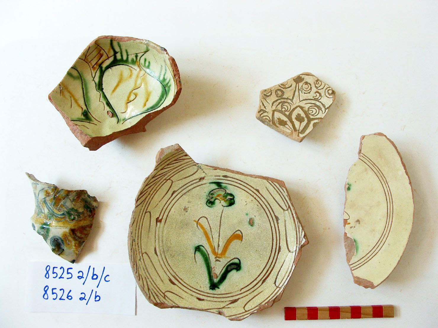 motivi decorativi vegetali (scodella, frammento) - ambito padano (sec. XV)
