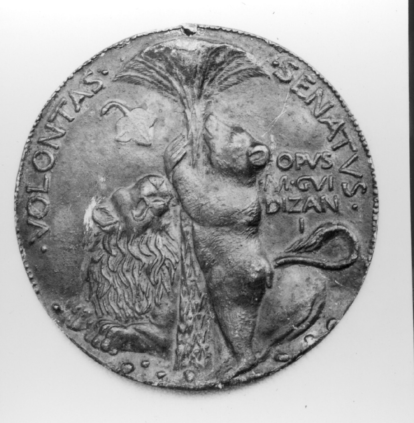 animali (medaglia, elemento d'insieme) di Guidizzani M (sec. XV)