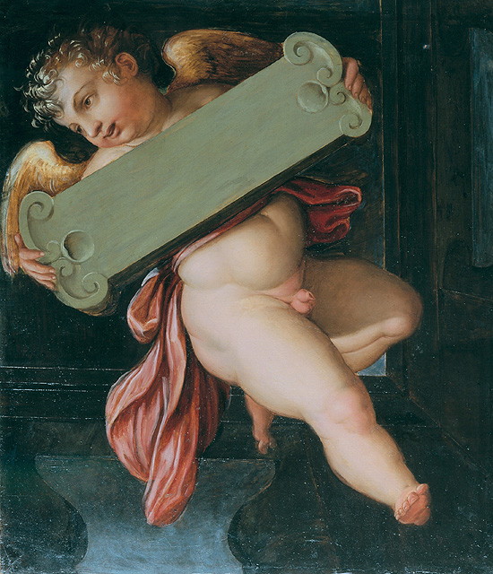 Putto alato con cartiglio, putto alato (dipinto) di Vasari Giorgio (sec. XVI)