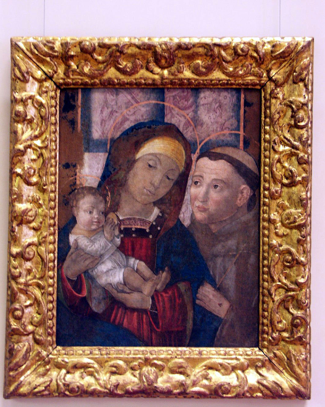 Madonna con Bambino e Santi (dipinto, opera isolata) di Morone Domenico (secc. XV/ XVI)