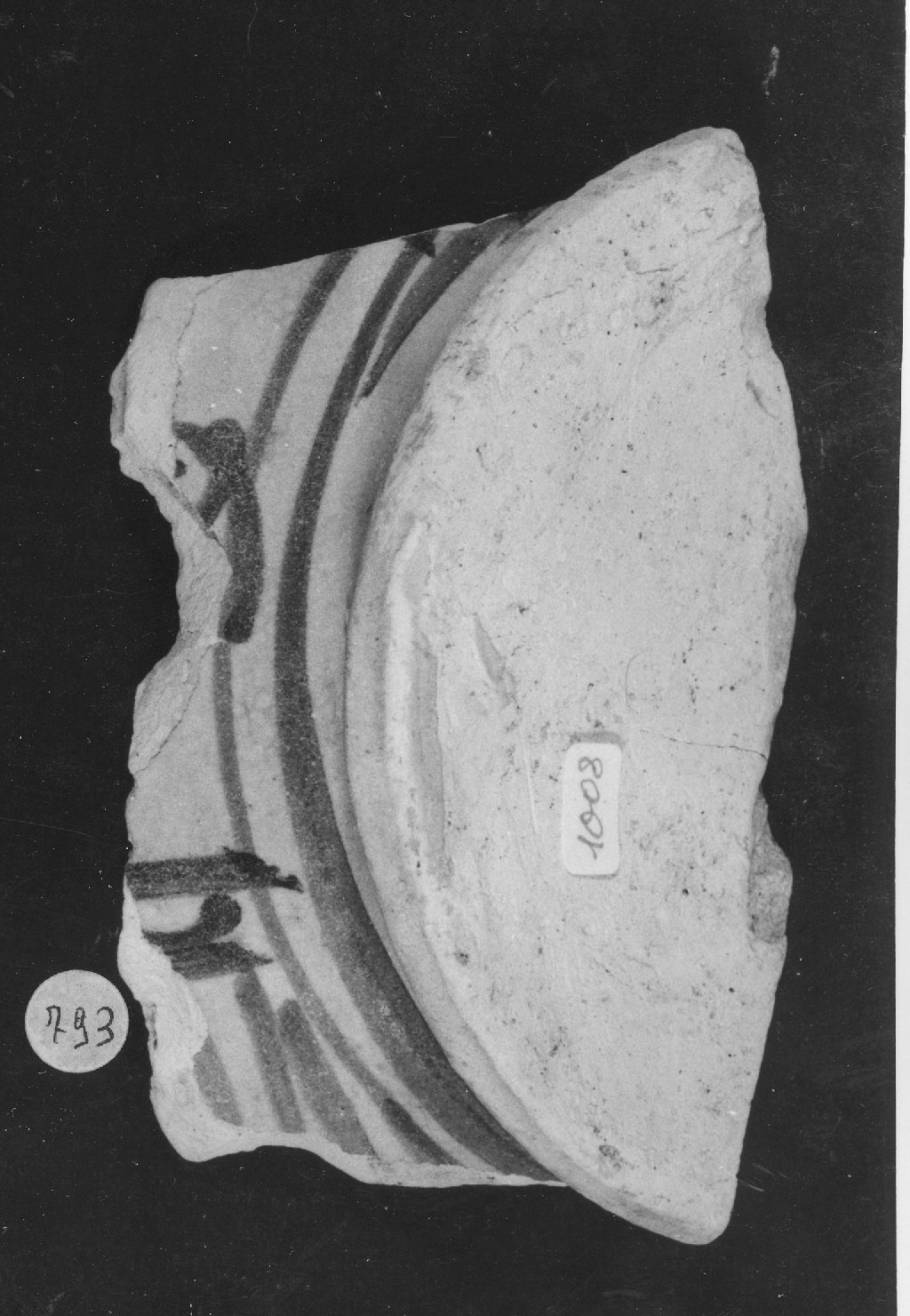 motivi decorativi (vaso, frammento) - ambito veneto (secc. XV/ XVI)