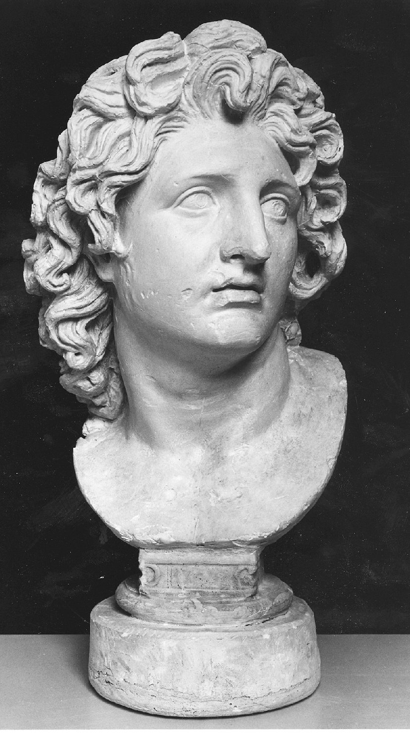 busto di giovane (calco di scultura, opera isolata) - ambito greco (sec. XIX)