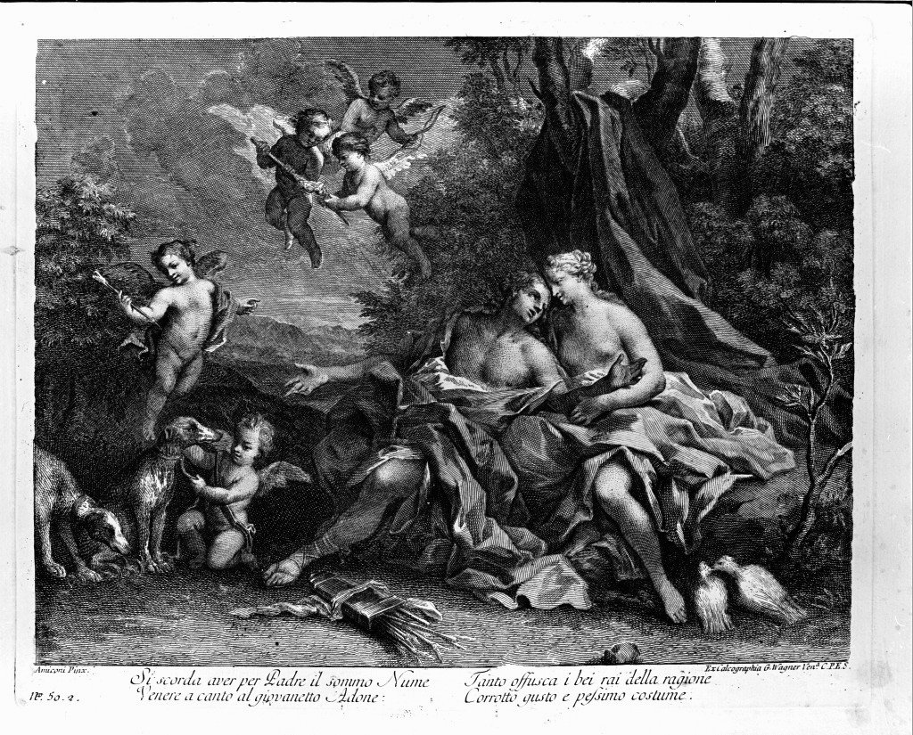 Venere e Adone (stampa) di Amigoni Jacopo (sec. XVIII)