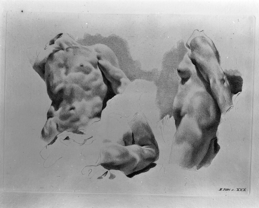 studio di parti anatomiche (stampa) di Pitteri Marco Alvise, Piazzetta Giovanni Battista (sec. XVIII)