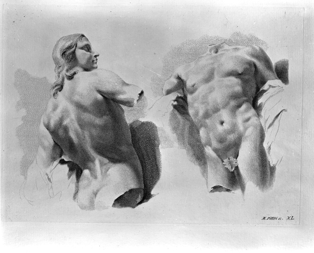 studio di parti anatomiche (stampa) di Pitteri Marco Alvise, Piazzetta Giovanni Battista (sec. XVIII)