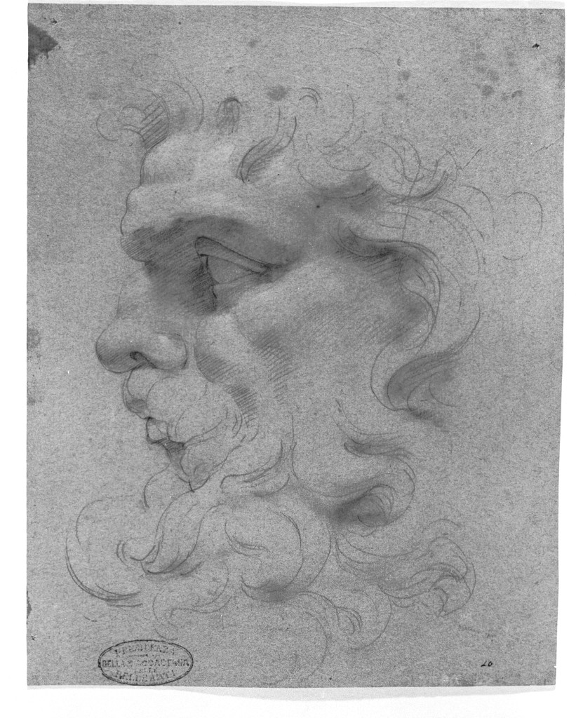 testa d'uomo di profilo (disegno, opera isolata) - ambito italiano (sec. XVIII)