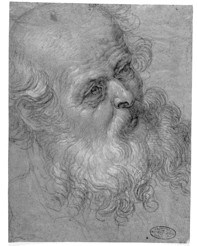 testa d'uomo con barba (disegno, opera isolata) - ambito italiano (prima metà sec. XVII)
