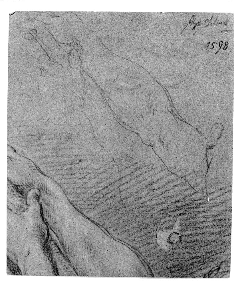 studio di parti anatomiche (disegno, elemento d'insieme) di Pittoni Giovanni Battista (secc. XVII/ XVIII)