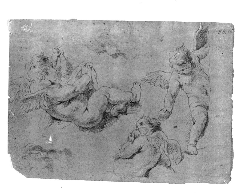 putti alati (disegno, opera isolata) di Pittoni Giovanni Battista (secc. XVII/ XVIII)