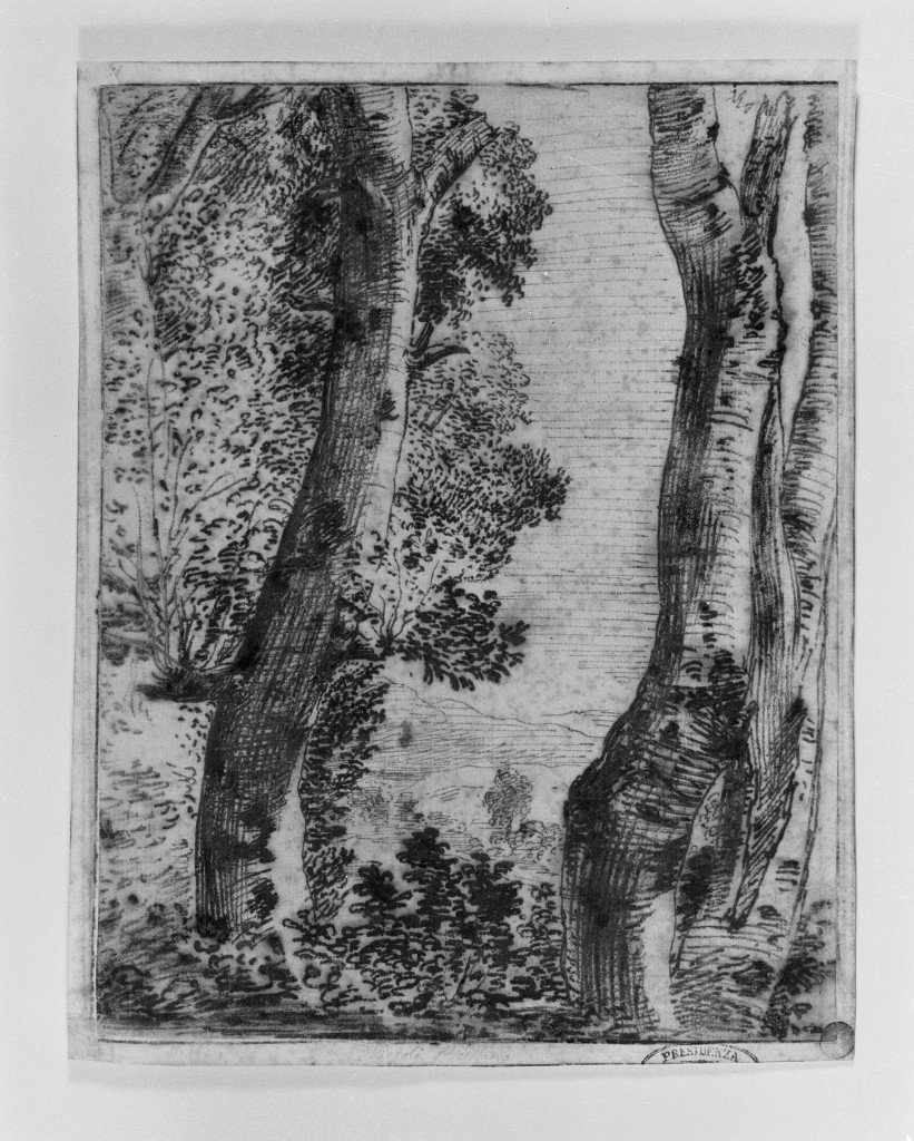 paesaggio con alberi (disegno, opera isolata) - ambito romano (metà sec. XVII)