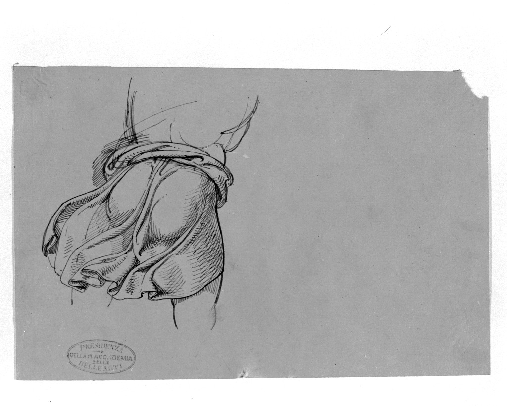 giovane (disegno, opera isolata) di De Superville Pierre Davide Humbert (secc. XVIII/ XIX)