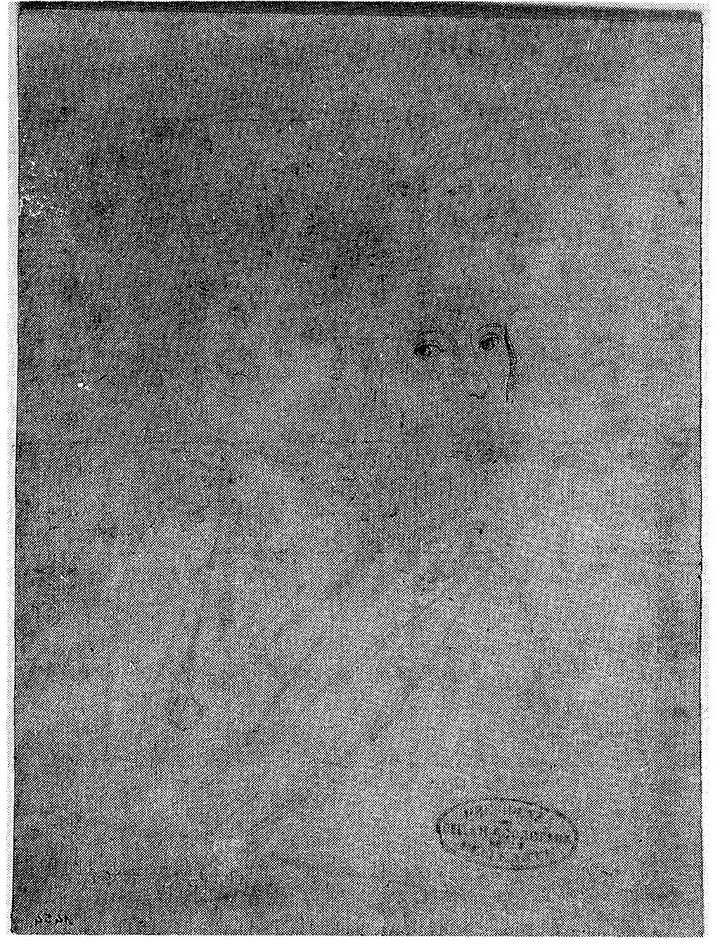 ritratto di donna (disegno, opera isolata) di De Superville Pierre Davide Humbert (secc. XVIII/ XIX)