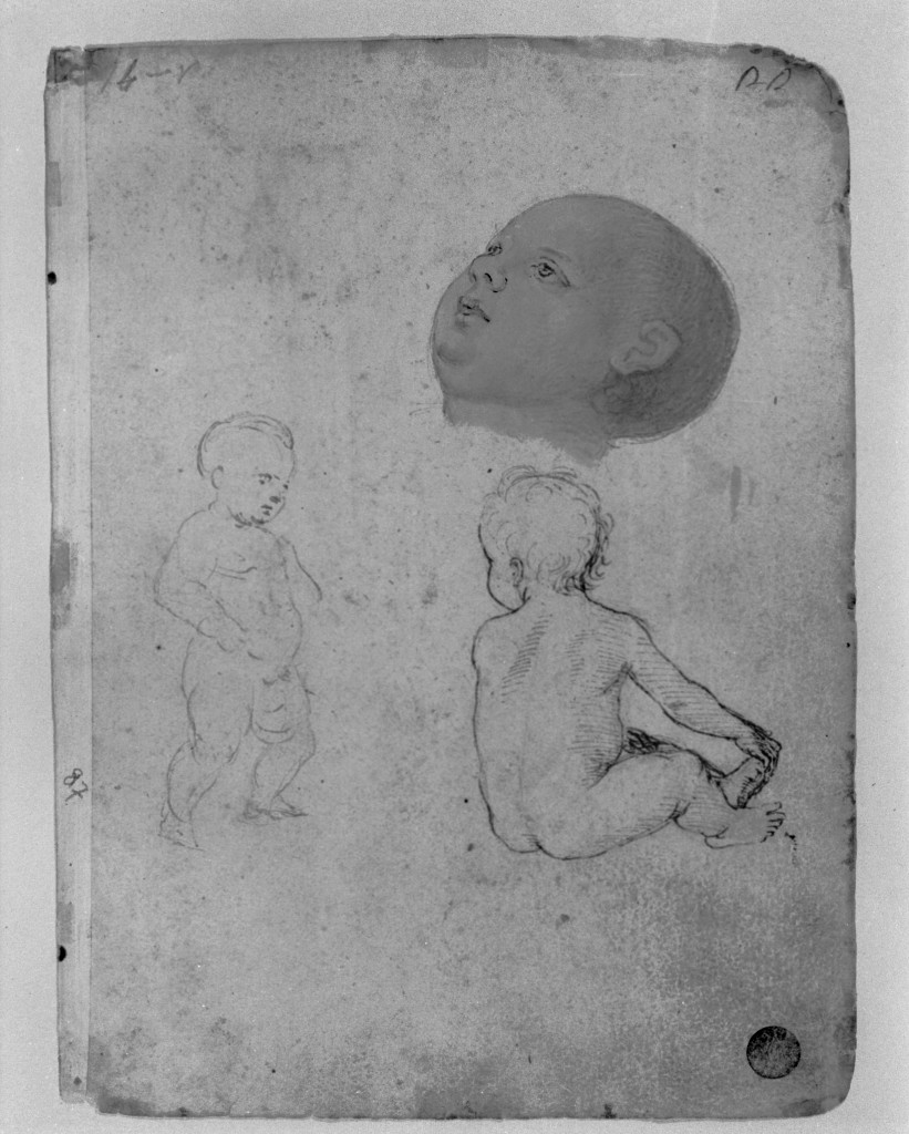 disegno, insieme di Vannucci Pietro detto Perugino (cerchia) (inizio sec. XVI)