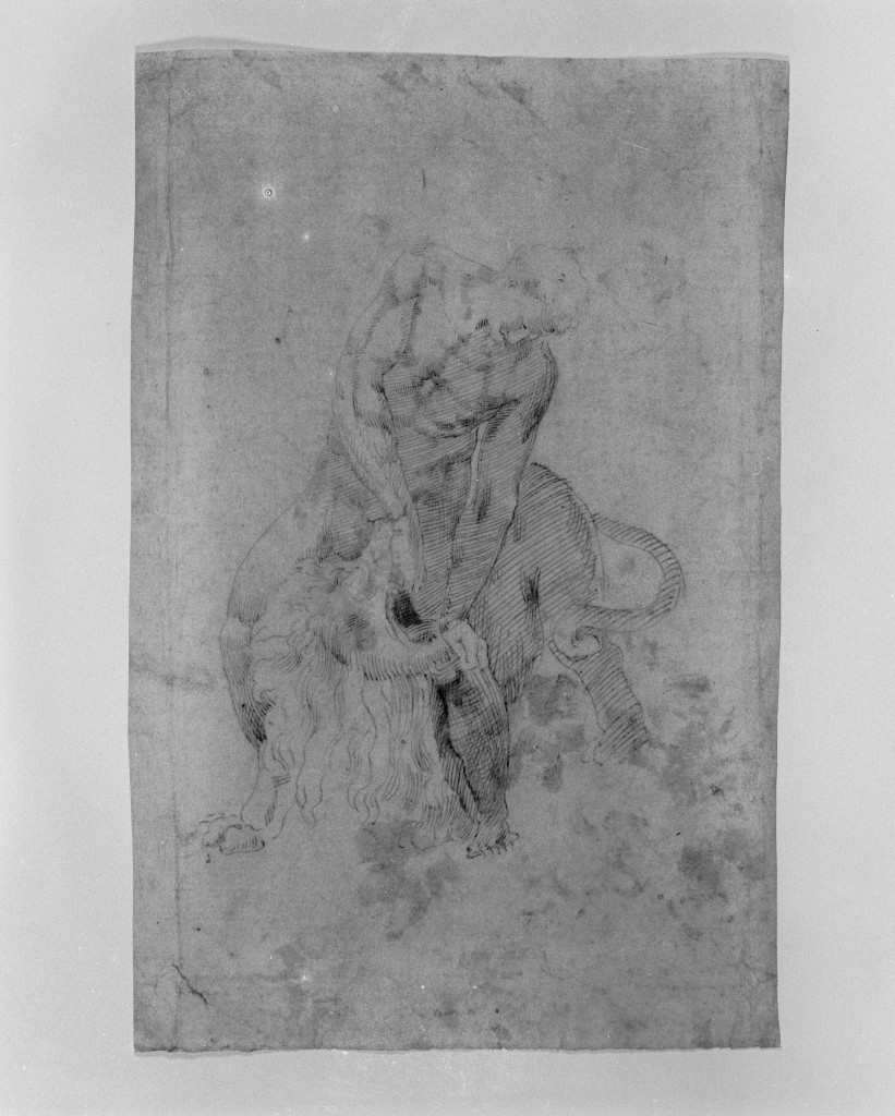 Ercole e il leone di Nemea (disegno, insieme) - ambito fiorentino (sec. XVI)