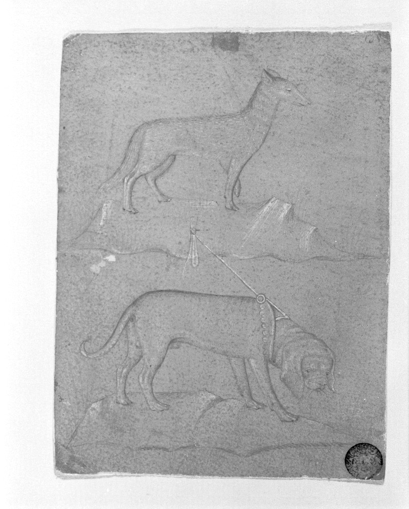 Volpe e cane al guinzaglio, animali (disegno, opera isolata) - ambito lombardo (inizio sec. XV)