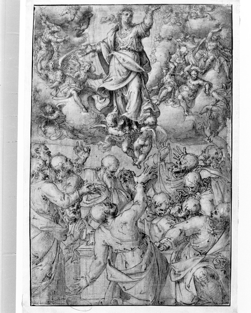 Madonna Assunta (disegno, opera isolata) di Luini Aurelio (sec. XVI)