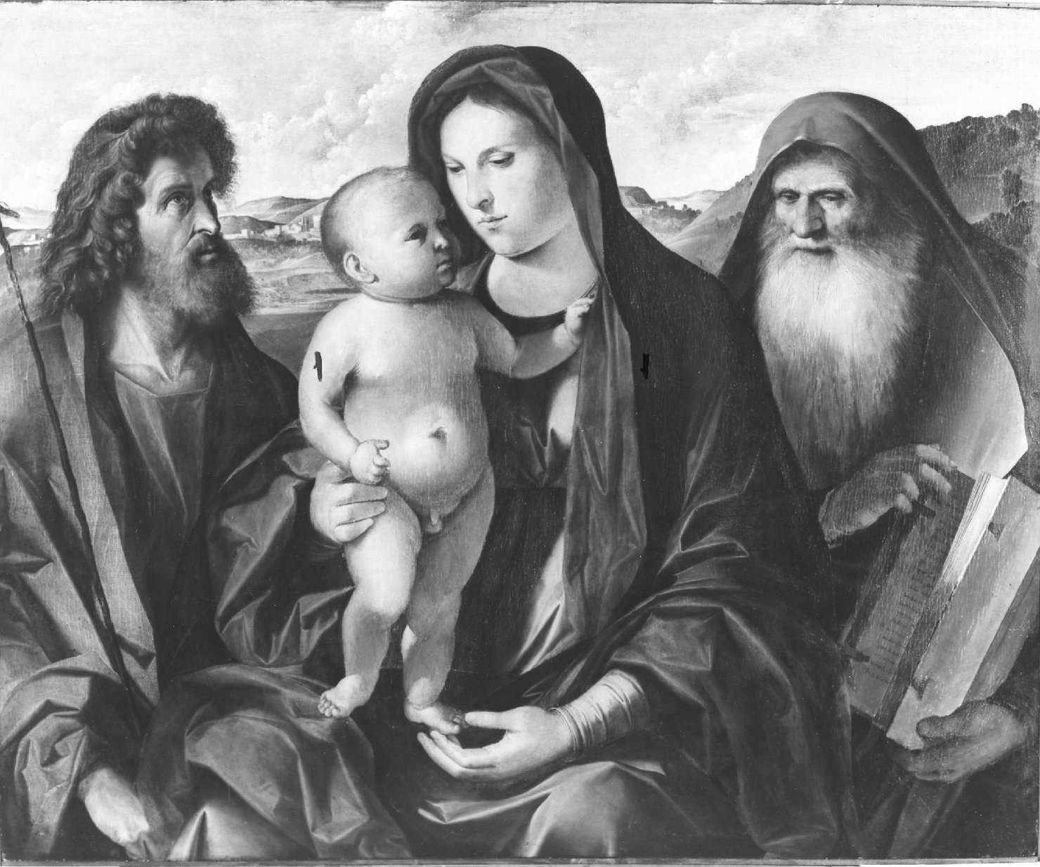 Madonna con Bambino tra San Giovanni Battista e San Girolamo, Madonna con Bambino e Santi (dipinto, opera isolata) di Rusconi Benedetto detto Benedetto Diana (attribuito) (secc. XV/ XVII)