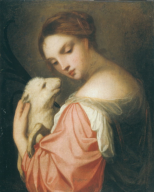 Sant'Agnese (dipinto, opera isolata) di Varotari Alessandro detto Padovanino (attribuito) (sec. XVII)