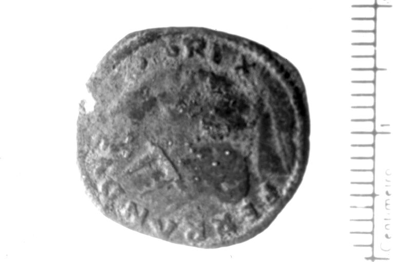 moneta - cavallo (sec. XV)