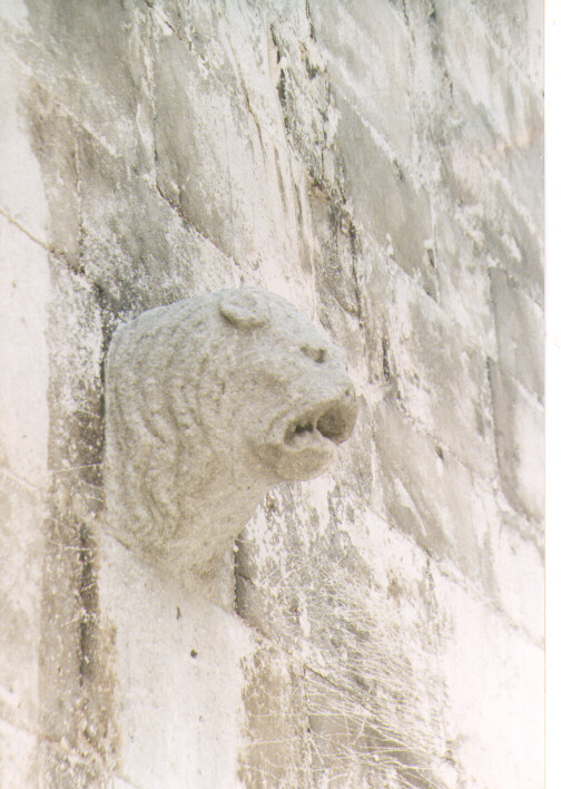 leone (scultura) - ambito Italia meridionale (secc. XIII/ XIV)