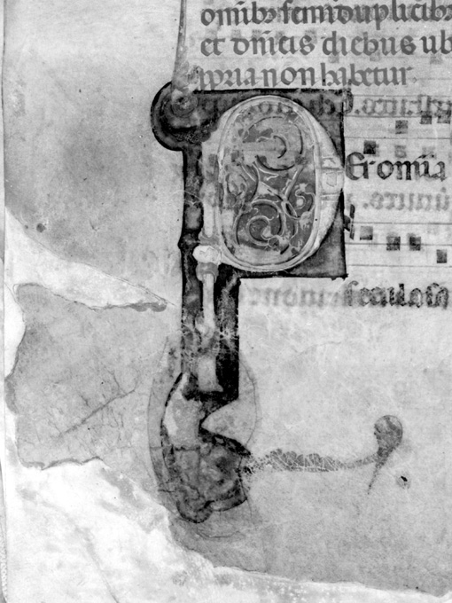 Lettera P (miniatura) - ambito umbro (fine sec. XIII)