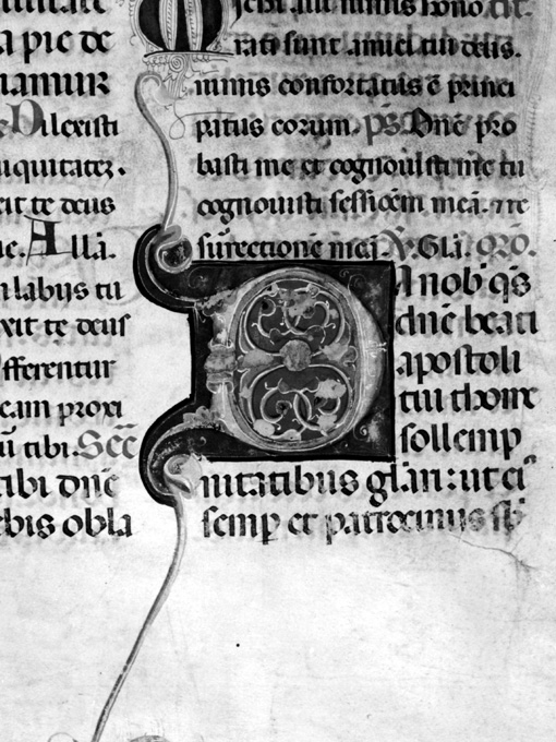 Lettera D (miniatura) - ambito umbro (fine sec. XIII)
