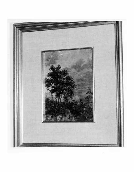 Paesaggio silvestre, paesaggio con alberi (dipinto) di Spinelli Francesco (sec. XIX)