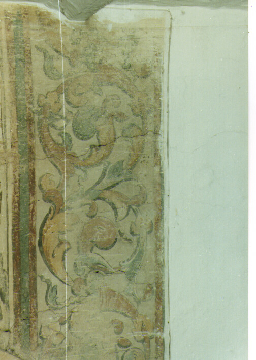 motivi decorativi vegetali (dipinto, frammento) - ambito salentino (seconda metà sec. XVII)