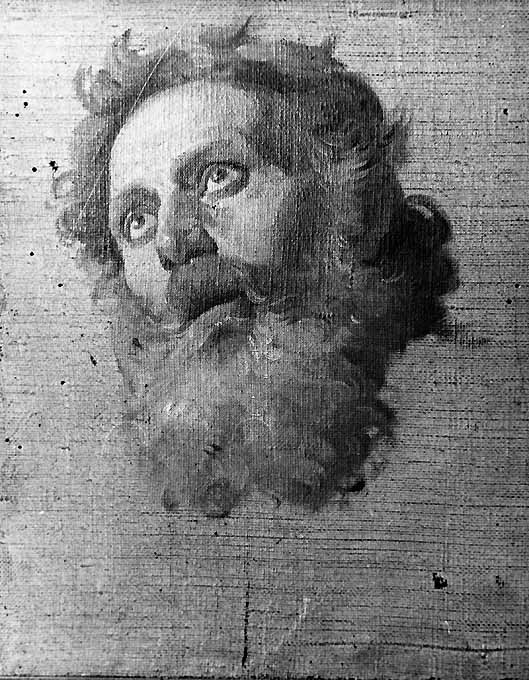 studio di testa di vecchio (dipinto) di De Napoli Michele (attribuito) (sec. XIX)