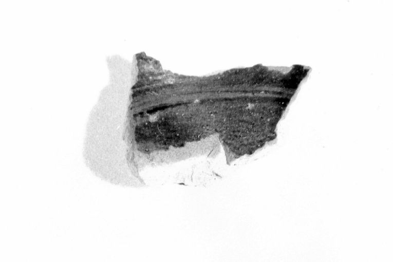 scodella, frammento - produzione apulo-lucana (sec. XIII)