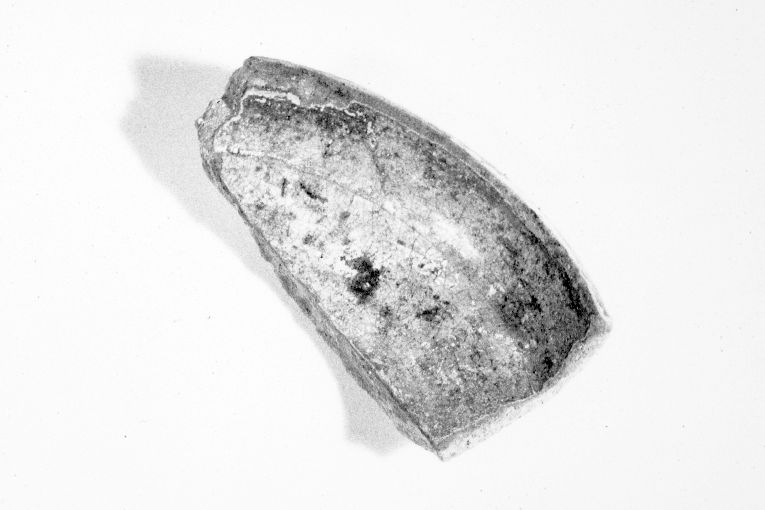 ciotola, frammento - produzione apulo-lucana (metà sec. XIII)