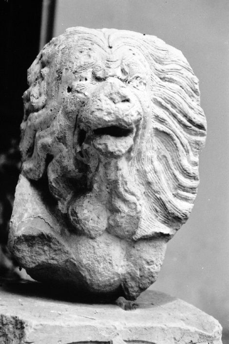 testa di leone (rilievo, frammento) - ambito salentino (sec. XVII)