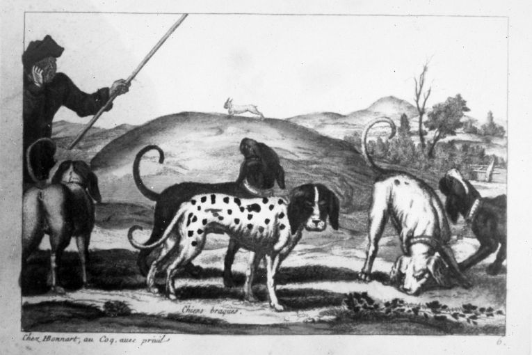 Paesaggio con bracchi e cacciatore (stampa colorata a mano) - ambito francese (seconda metà sec. XVIII)