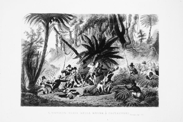 Le truppe francesi conquistano la Ravine a Couleuvres aS. Domingo (stampa colorata a mano smarginata) di Gandini Domenico (sec. XIX)