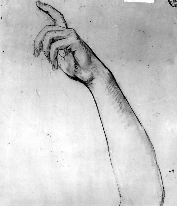 studio di mani e avambraccio (disegno) di De Napoli Michele (attribuito) (sec. XIX)