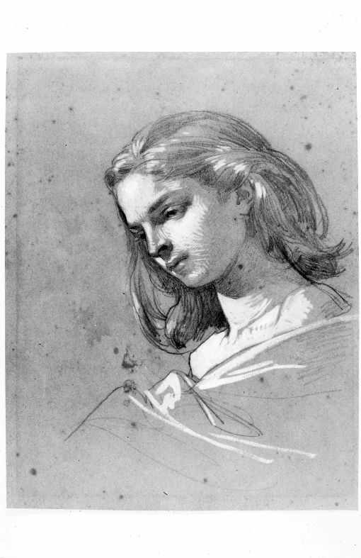 Testa femminile (disegno) di Barabino Nicolò (sec. XIX)
