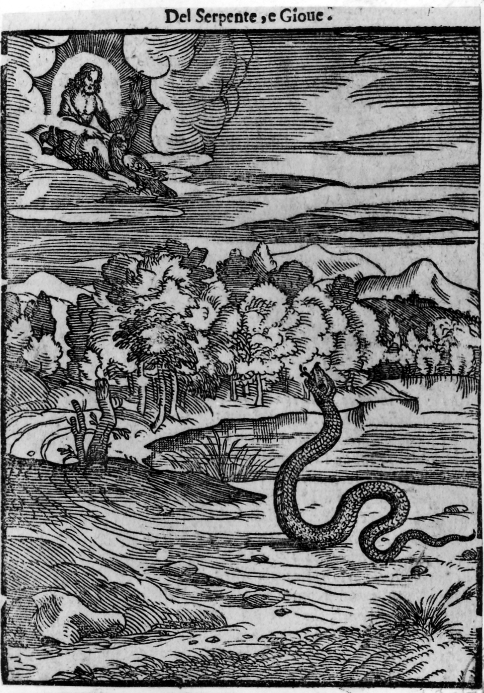 favola del serpente e Zeus (stampa smarginata, serie) di Verdizotti Giovanni Mario (sec. XVI)