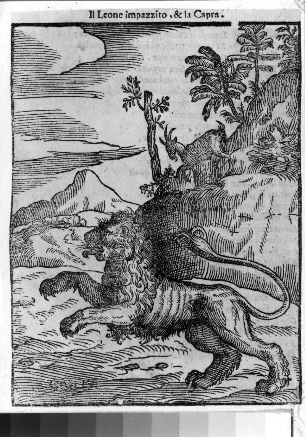 favola del leone e la capra (stampa smarginata, serie) di Verdizotti Giovanni Mario (sec. XVI)