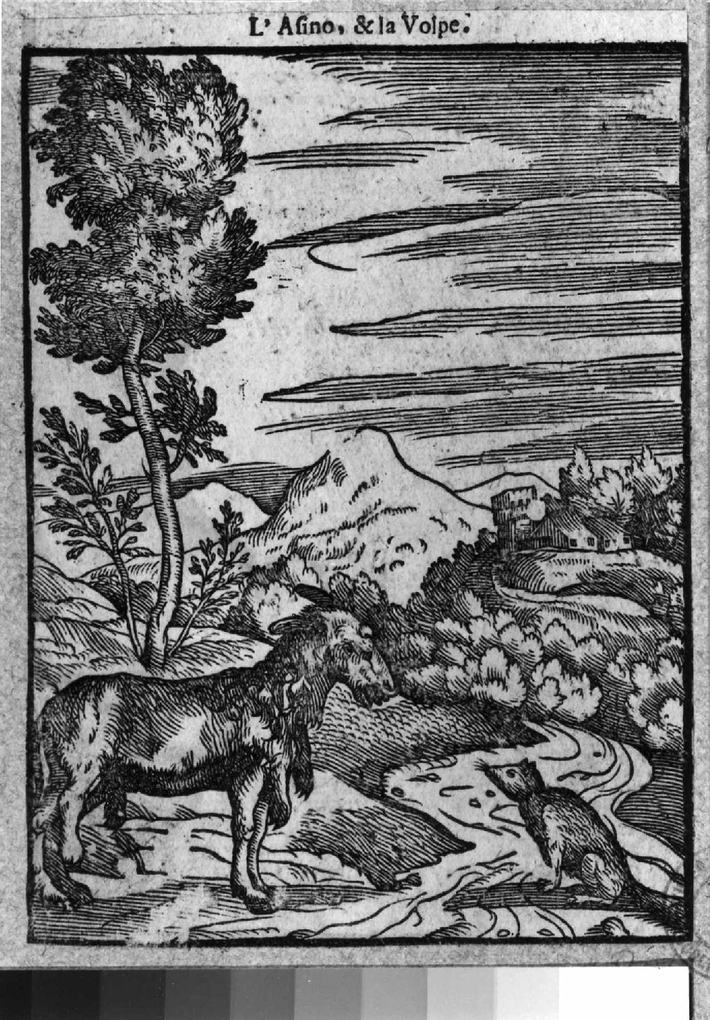favola della volpe e l'asino (stampa smarginata, serie) di Verdizotti Giovanni Mario (sec. XVI)