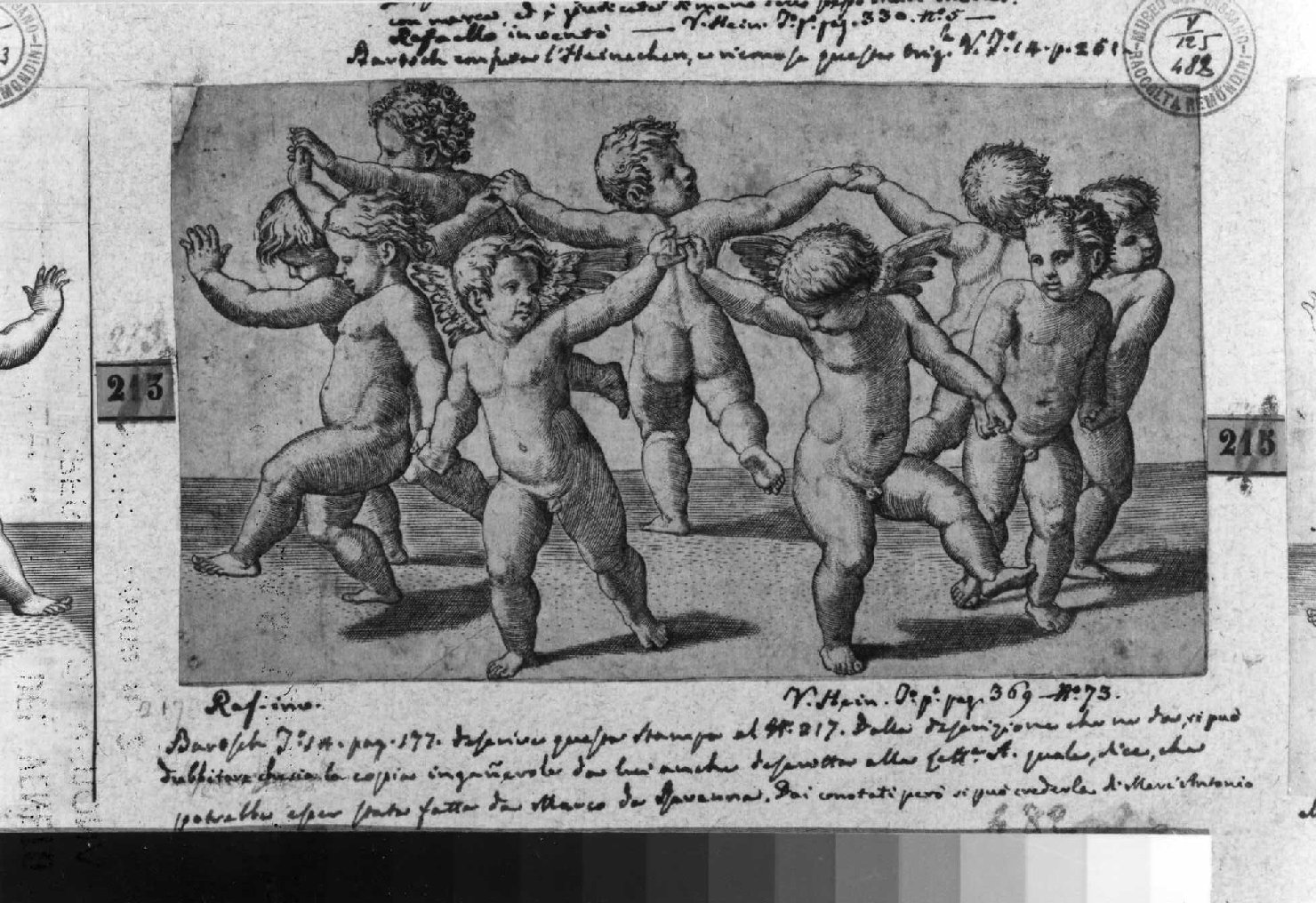 danza di putti (stampa smarginata) di Sanzio Raffaello, Dente Marco detto Marco da Ravenna (primo quarto sec. XVI)