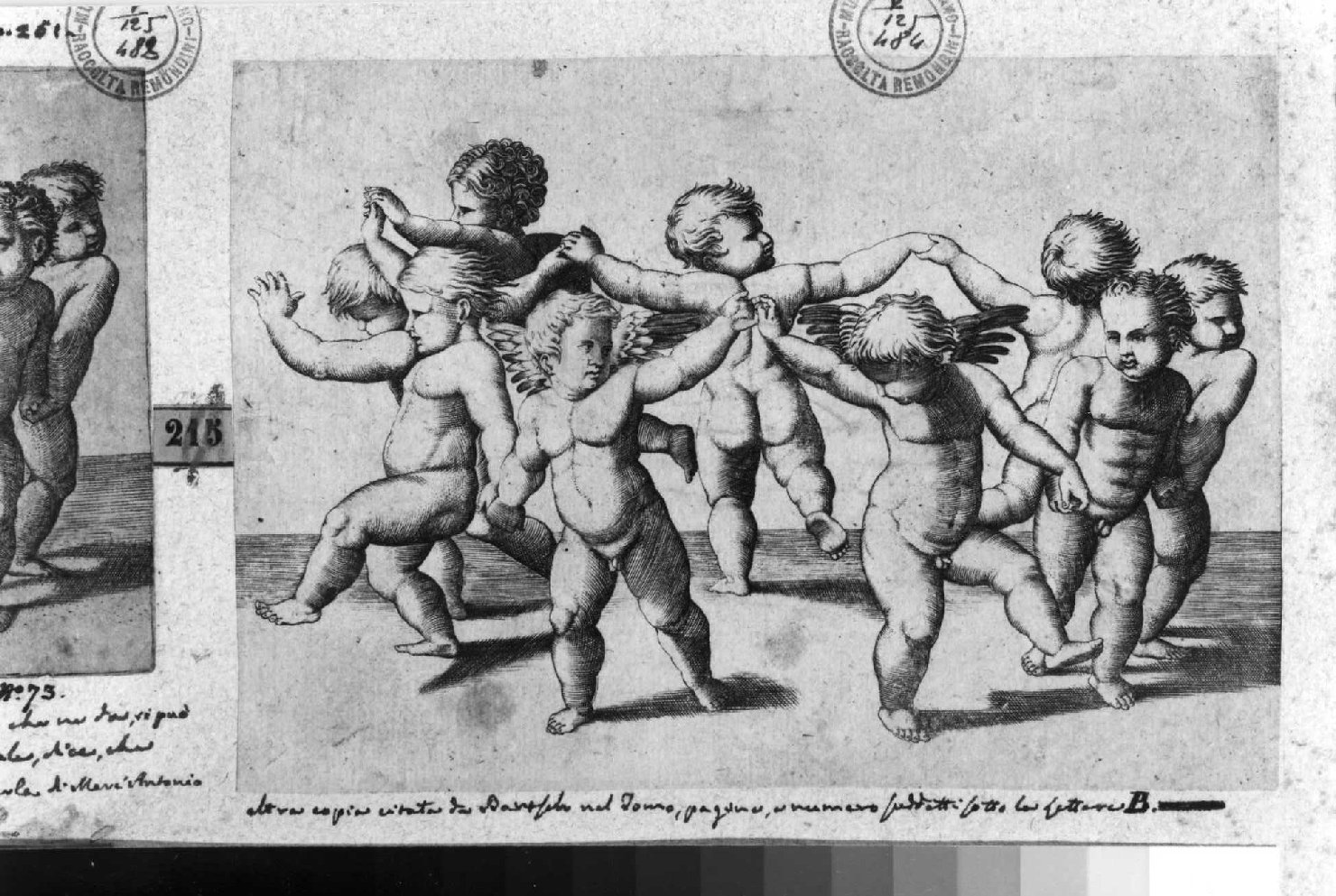 danza di putti (stampa smarginata) di Sanzio Raffaello (sec. XVI)