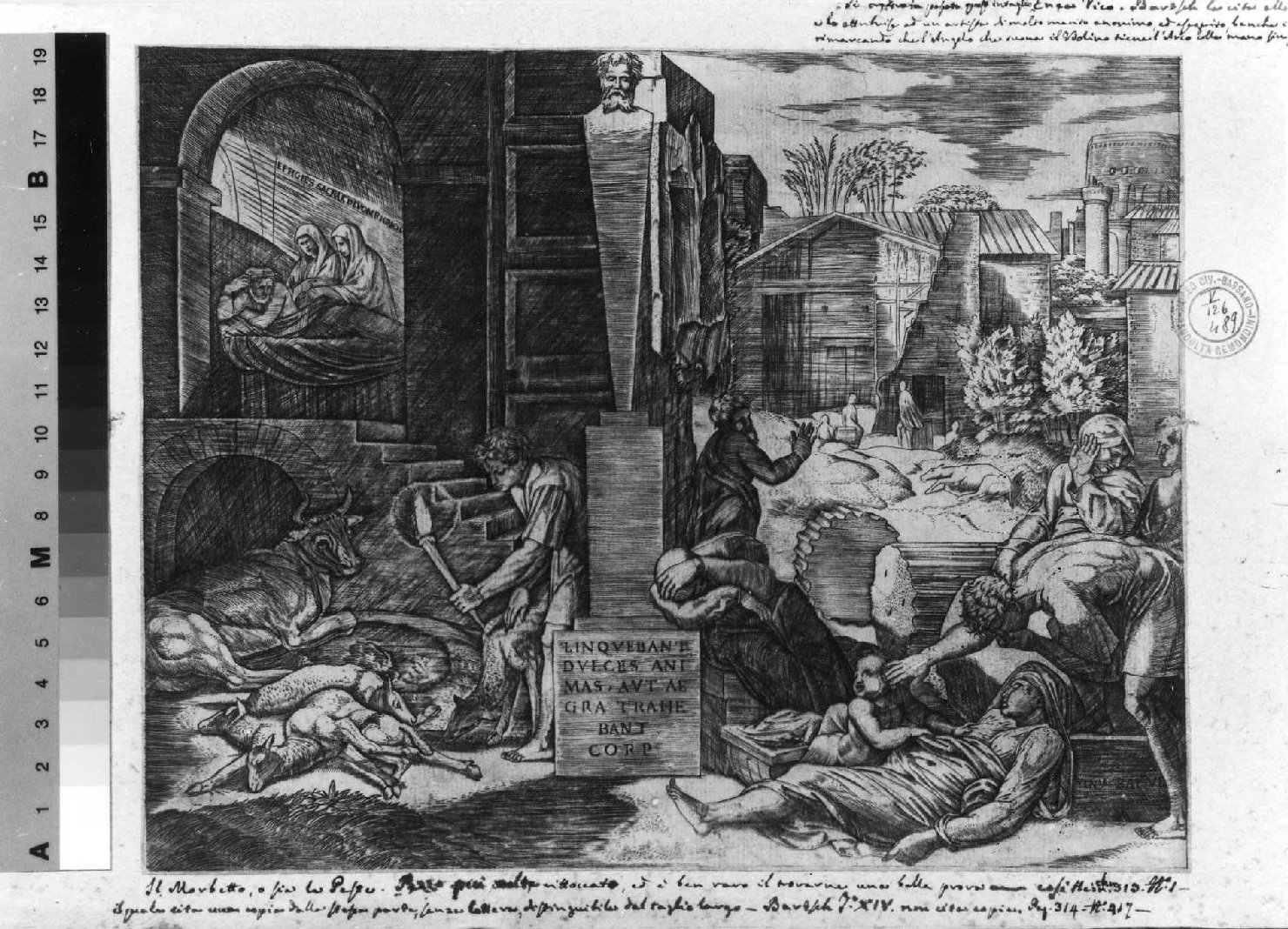 Peste di Frigia, o il Morbetto, peste di Frigia (stampa smarginata) di Sanzio Raffaello, Raimondi Marcantonio (sec. XVI)