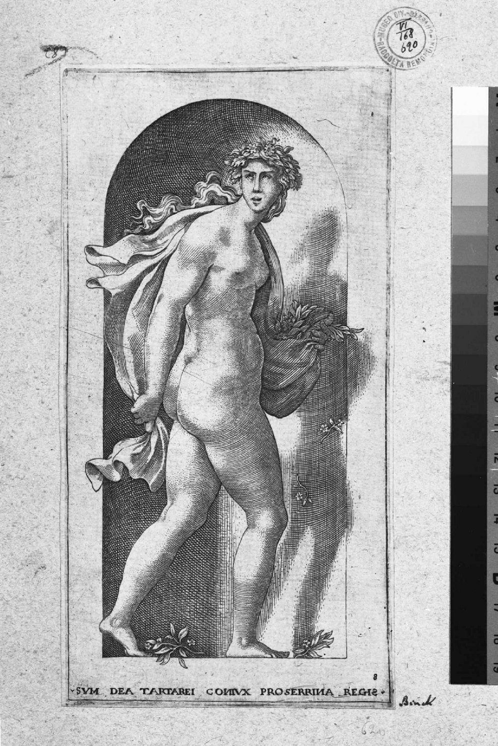 Proserpina (stampa smarginata, serie) di Rosso Fiorentino, Binck Jacob (sec. XVI)