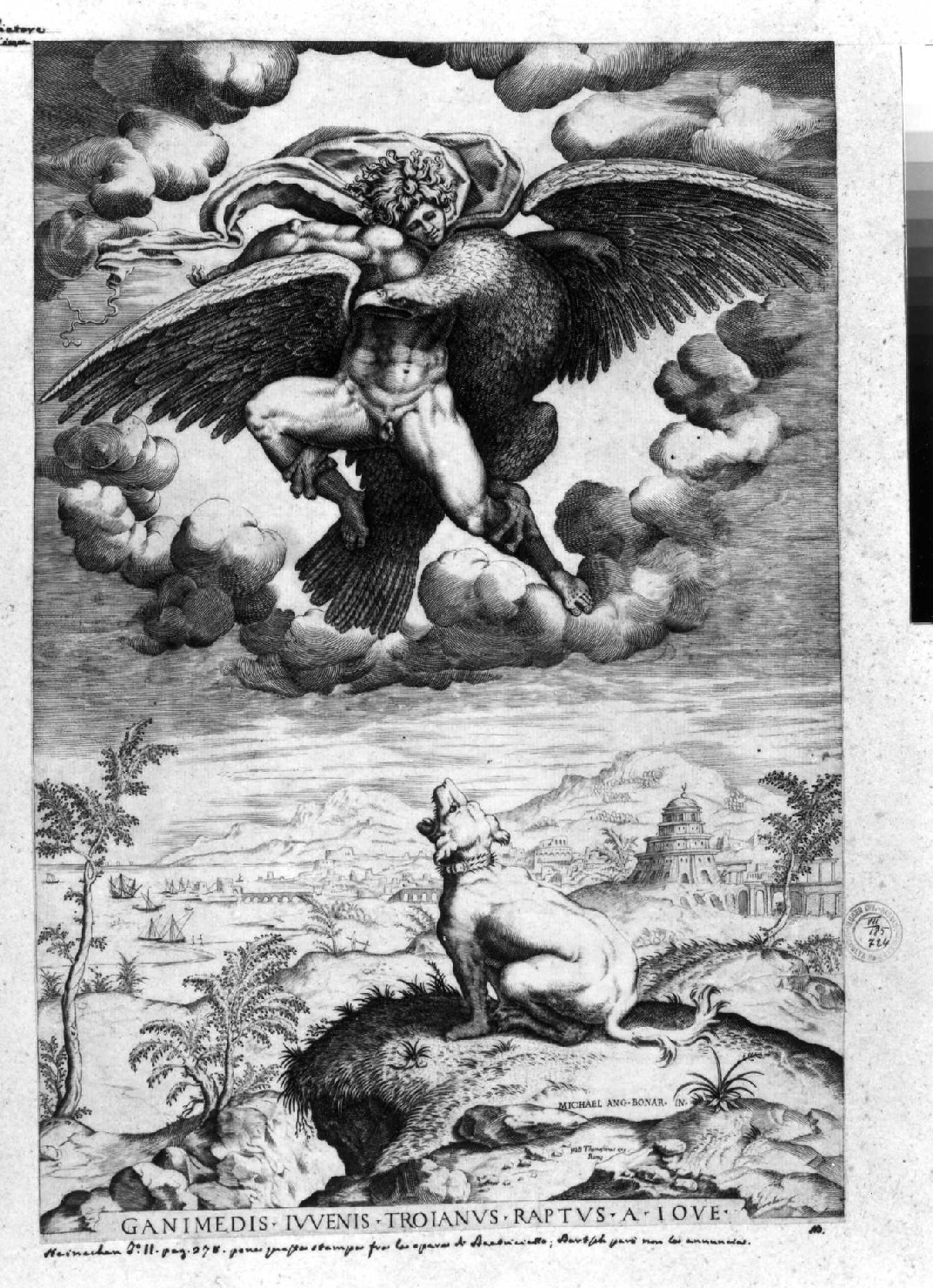 Ganimede e l'aquila di Giove (stampa smarginata) di Buonarroti Michelangelo (secc. XVI/ XVII)