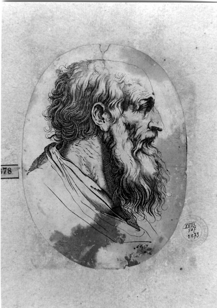 ritratto d'uomo di profilo (stampa smarginata) di Carracci Agostino (maniera) (secc. XVI/ XVII)