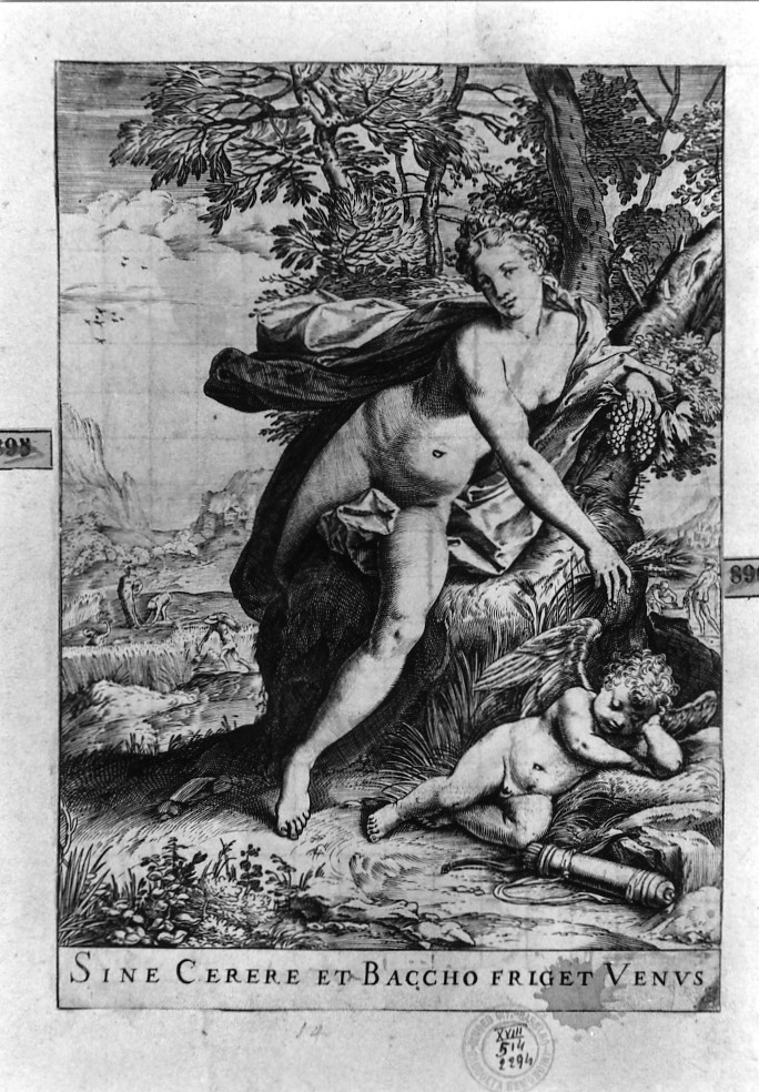 Venere e Cupido (stampa smarginata) di Carracci Agostino, Goltzius Hendrick (sec. XVI)