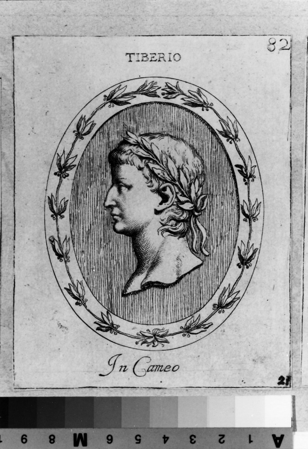 cammeo con ritratto di Tiberio, ritratto d'uomo di profilo (stampa smarginata) di Galestruzzi Giovan Battista (sec. XVII)