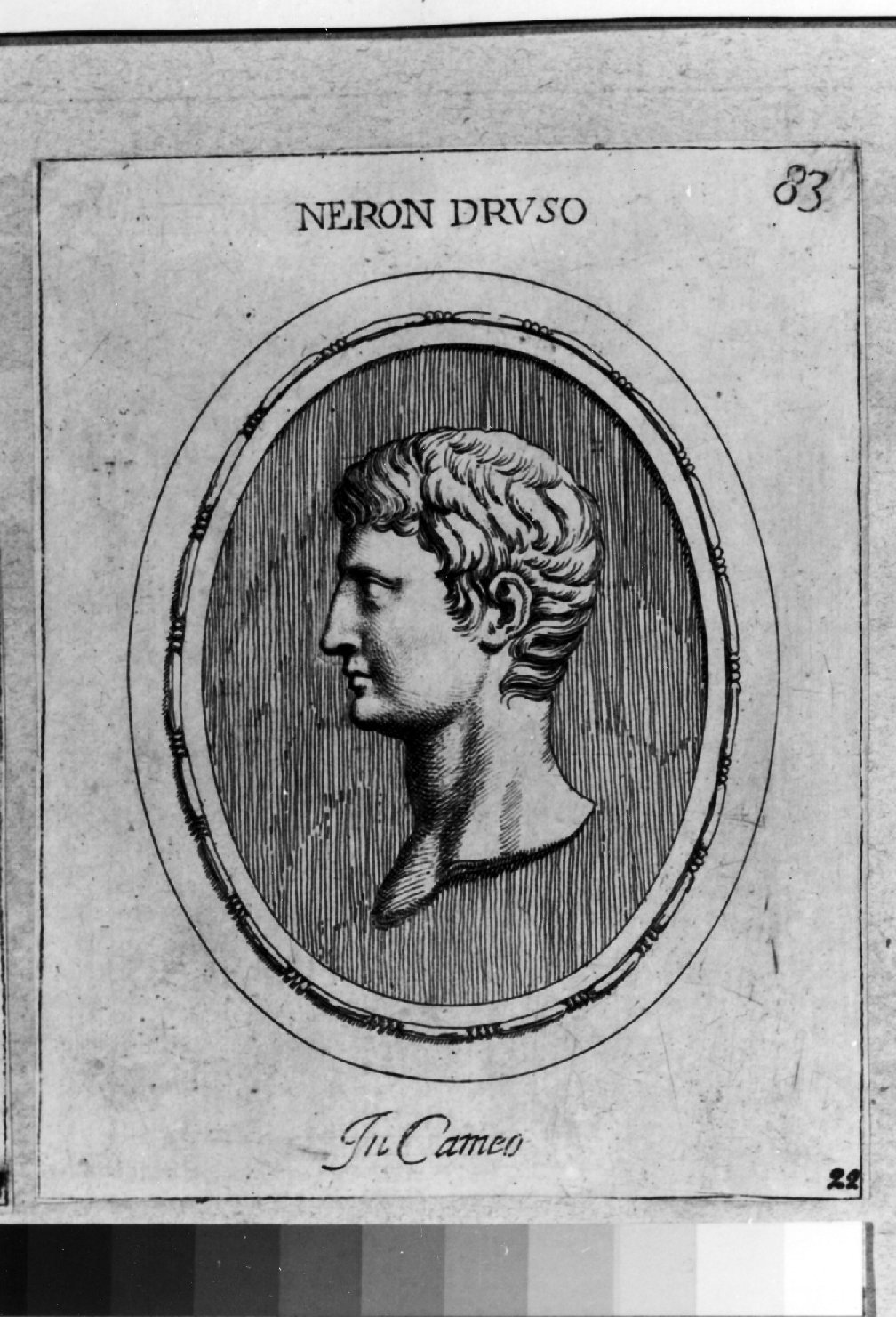 cammeo con ritratto di Nerone Druso, ritratto d'uomo di profilo (stampa smarginata) di Galestruzzi Giovan Battista (sec. XVII)